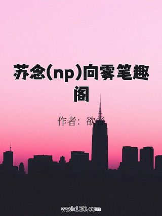 苏念(np)向雾笔趣阁