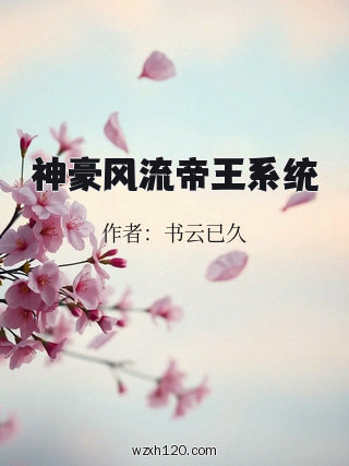 神豪风流帝王系统