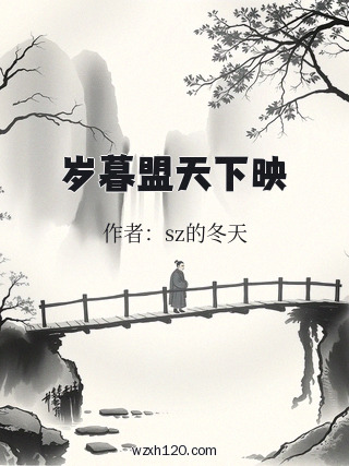岁暮盟天下映