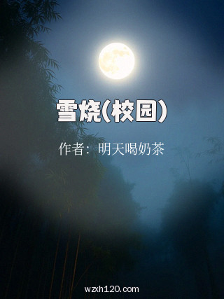 雪烧(校园)