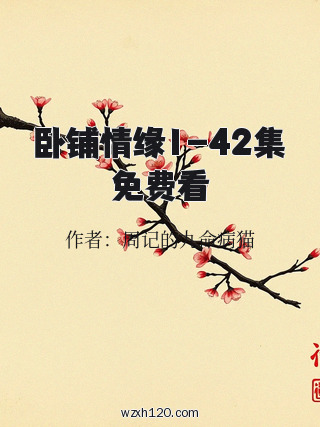 卧铺情缘1-42集免费看