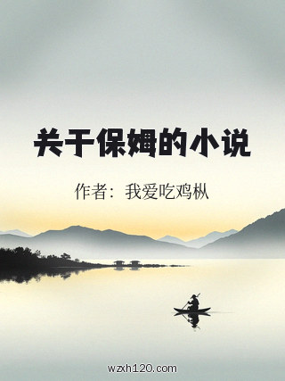 关于保姆的小说