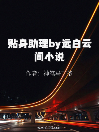 贴身助理by远白云间小说