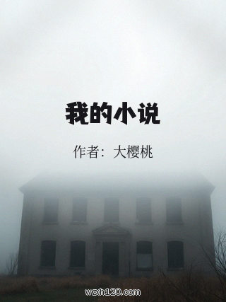 我的小说