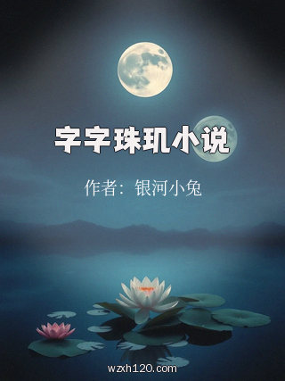 字字珠玑小说