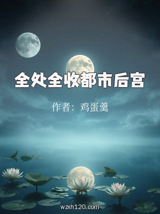 全处全收都市后宫