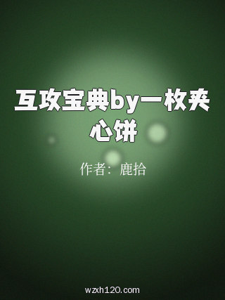 互攻宝典by一枚夹心饼