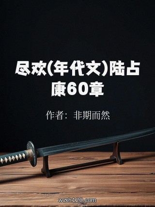 尽欢(年代文)陆占康60章