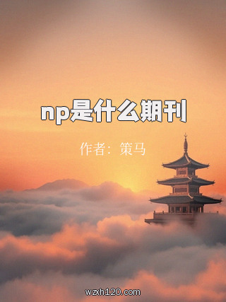 np是什么期刊