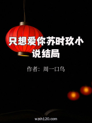 只想爱你苏时玖小说结局