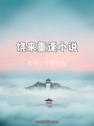 饶来重逢小说