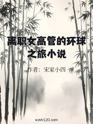 离职女高管的环球之旅小说