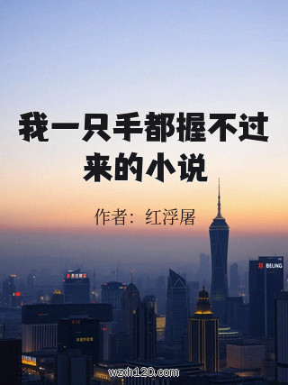 我一只手都握不过来的小说
