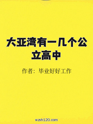 大亚湾有一几个公立高中