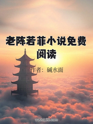老陈若菲小说免费阅读