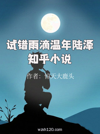 试错雨滴温年陆泽知乎小说