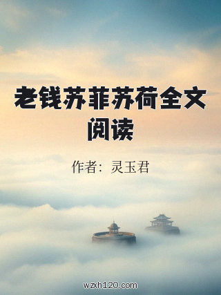 老钱苏菲苏荷全文阅读