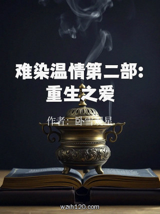 难染温情第二部:重生之爱