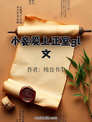 小妾爱上正室gl文