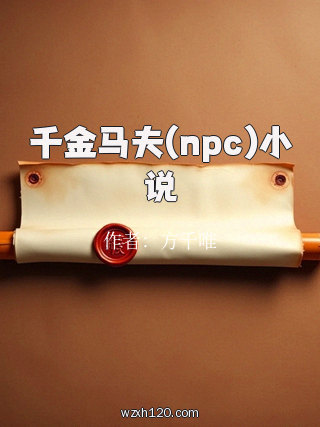 千金马夫(npc)小说