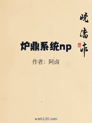 炉鼎系统np