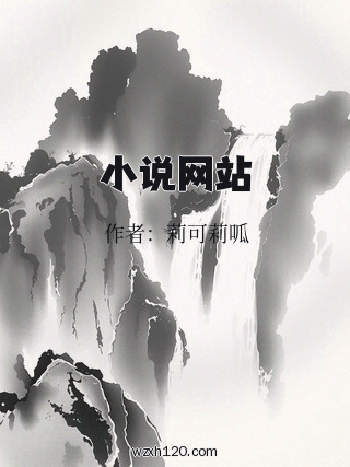 小说网站