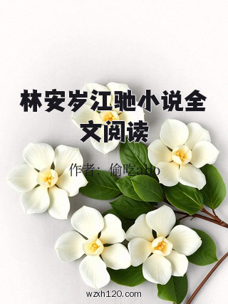 林安岁江驰小说全文阅读