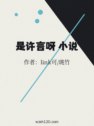 是许言呀 小说