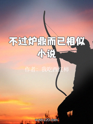 不过炉鼎而已相似小说
