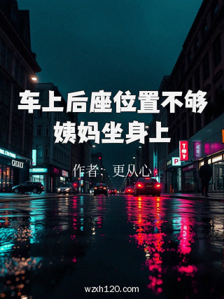 车上后座位置不够姨妈坐身上
