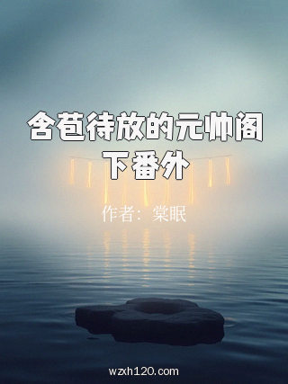 含苞待放的元帅阁下番外