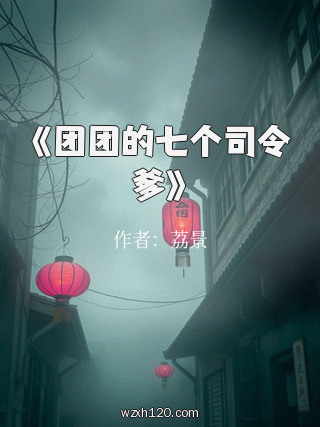 《团团的七个司令爹》