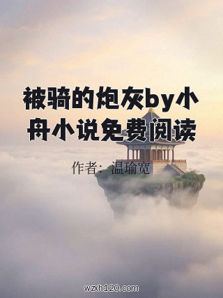 被骑的炮灰by小舟小说免费阅读