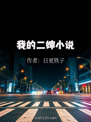 我的二婶小说