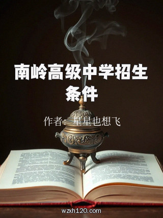 南岭高级中学招生条件