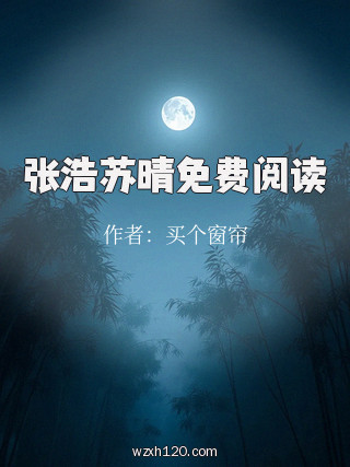 张浩苏晴免费阅读