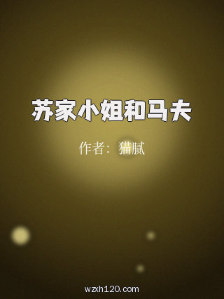 苏家小姐和马夫