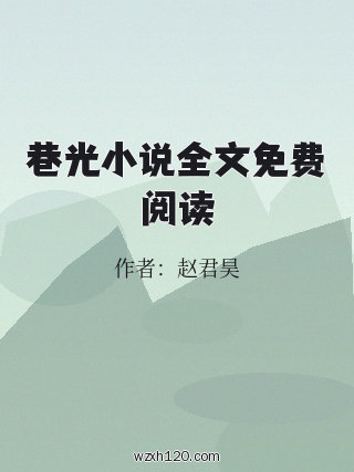 巷光小说全文免费阅读