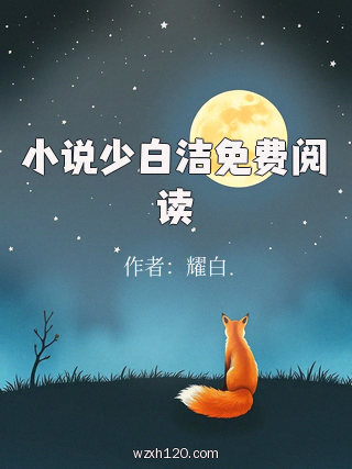 小说少白洁免费阅读