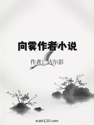 向雾作者小说