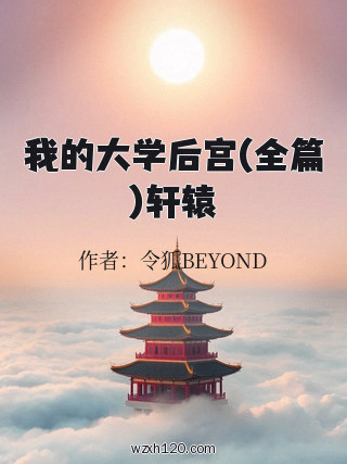 我的大学后宫(全篇)轩辕