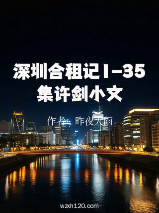 深圳合租记1-35集许剑小文