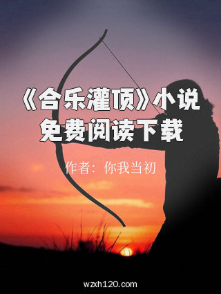 《合乐灌顶》小说免费阅读下载