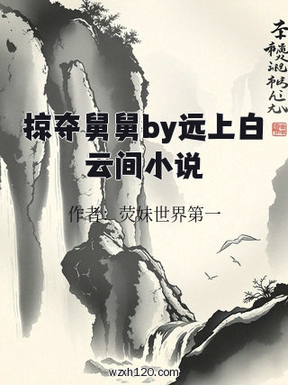 掠夺舅舅by远上白云间小说