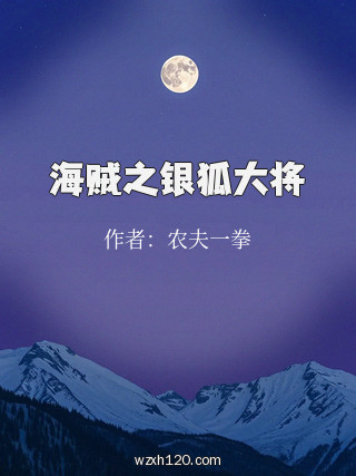 海贼之银狐大将