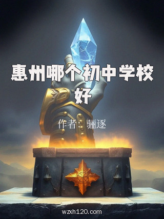 惠州哪个初中学校好