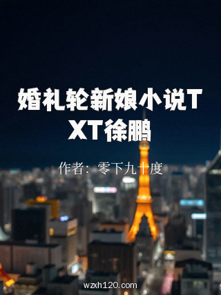 婚礼轮新娘小说TXT徐鹏