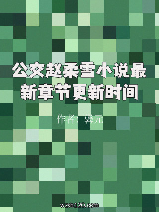 公交赵柔雪小说最新章节更新时间