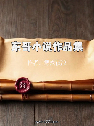东哥小说作品集