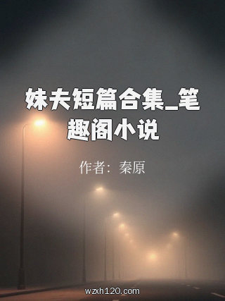 妹夫短篇合集_笔趣阁小说